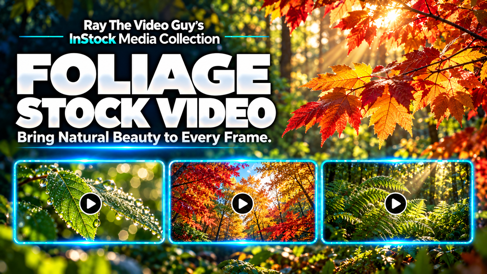InStock Foliage 4K Part 1